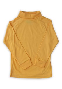 buy the latest Birchgrove Unisex Gold Skivvy online