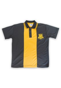 buy the latest Birchgrove Unisex District Sports Polo Shirt online