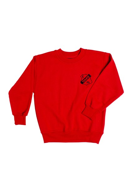buy the latest Tempe Unisex Fleece Jumper online