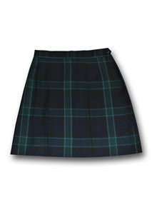 buy the latest St Catherine's Girls Winter Check Skirt online