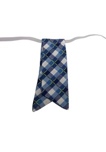 buy the latest St Michael's Girls Summer Tab Tie online