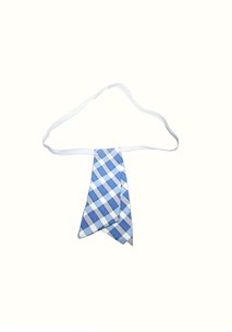 buy the latest St Kierans Girls Summer Check Tab Tie online