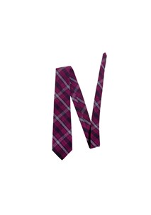 buy the latest Forestville Boys Junior School Tie online