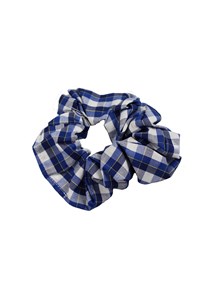 buy the latest Ferncourt Girls Scrunchies - Summer And Winter Check online