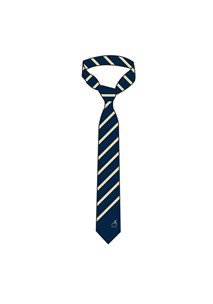 buy the latest Ssc Blackwattle Boys Tie Navy Stripe online