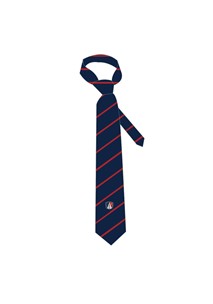 buy the latest St Pauls Junior Boys Tie online