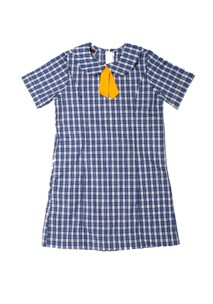 buy the latest Marrickville Public Summer Dress online