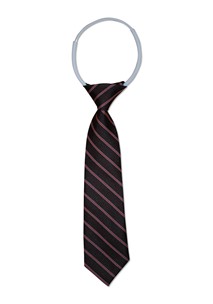 buy the latest Holy Cross Woollahra Winter Brown Stripe Tie On Elasticised Loop online