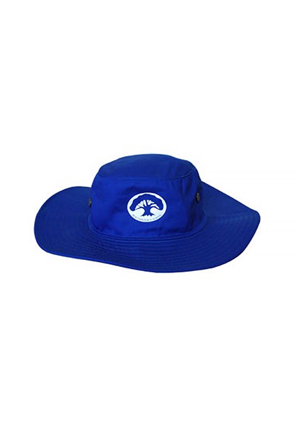buy the latest Newtown School Hat online