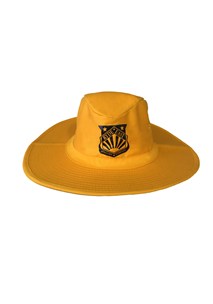 buy the latest Ryde East Unisex Gold Slouch Hat online