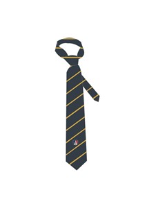 buy the latest St Pauls Senior Boys Tie online