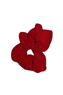 buy the latest Holy Cross Woollahra Girls Red Scrunchie online