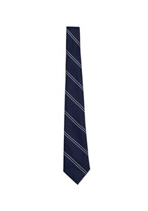 buy the latest Nbcs Primary Boys Tie online